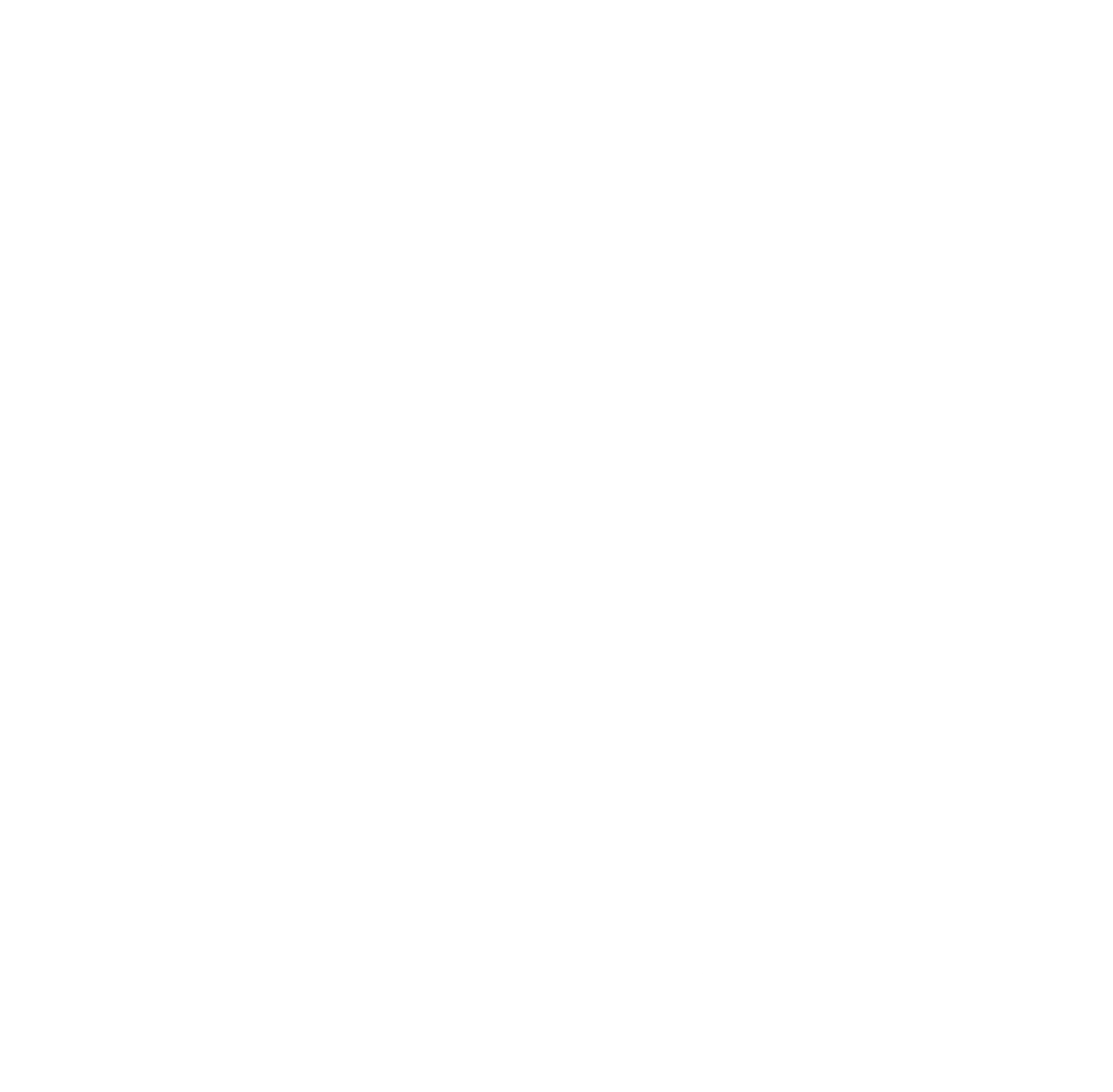 Phoenix Security